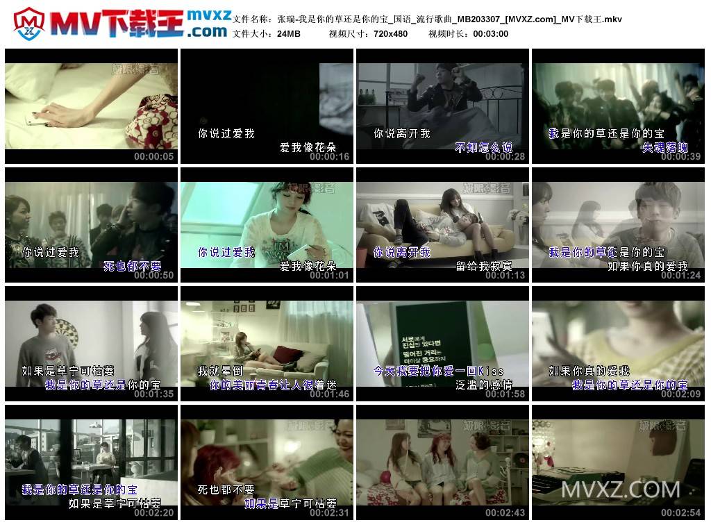 张瑞-我是你的草还是你的宝_国语_流行歌曲_MB203307